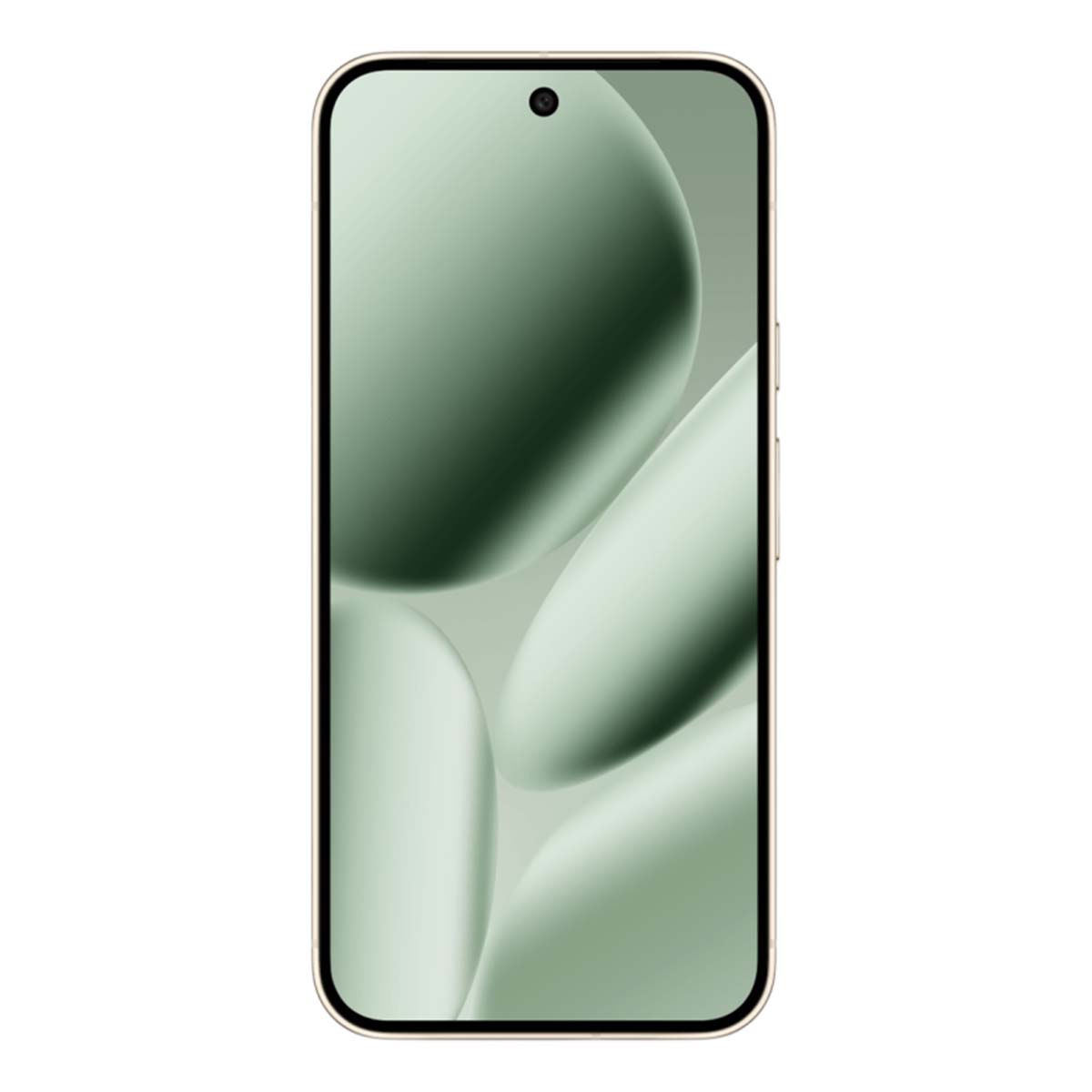Google Pixel 10 Pro XL 256Gb Jade, зелёный — фото 2