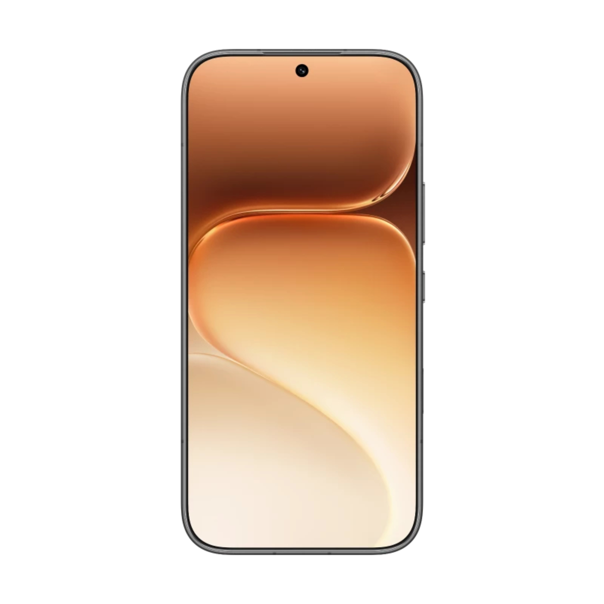 HONOR 600 12/256Gb Black, чёрный — фото 3